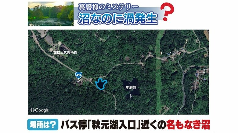 不思議な現象は名もなき小さな沼で起きていた