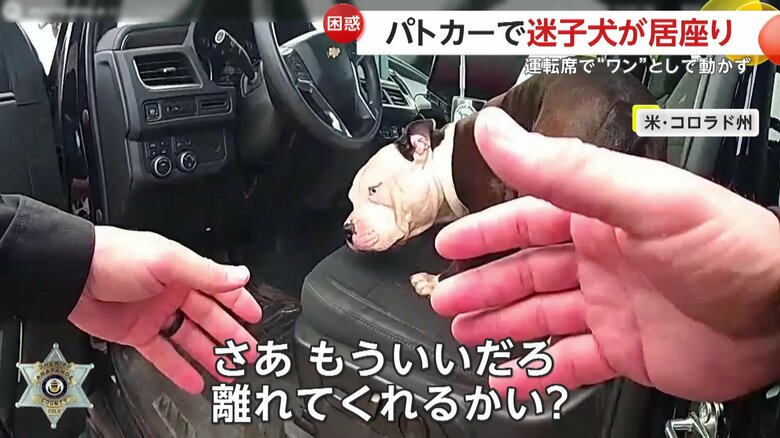 「さあ、もういいだろ？離れてくれ」と必死の説得を続ける警察官