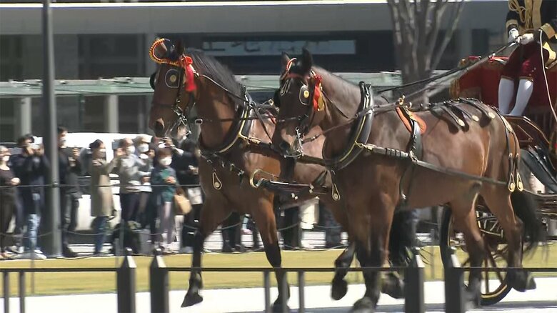 左が「咲姫」、右が「岸菖」