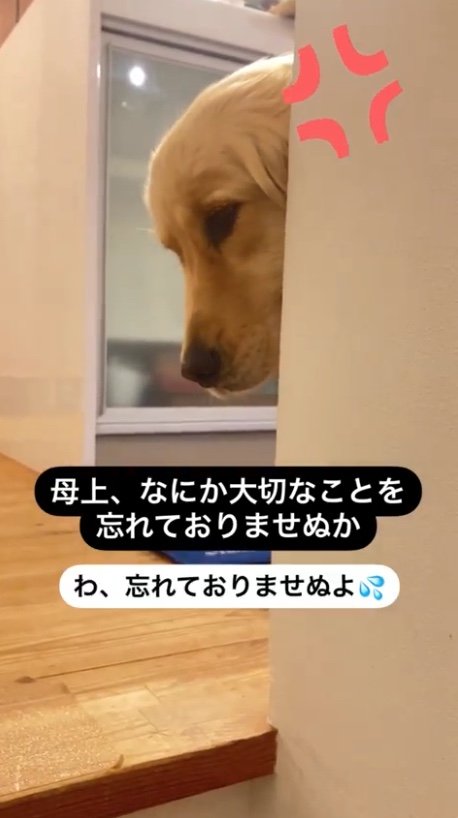 提供：エマさん