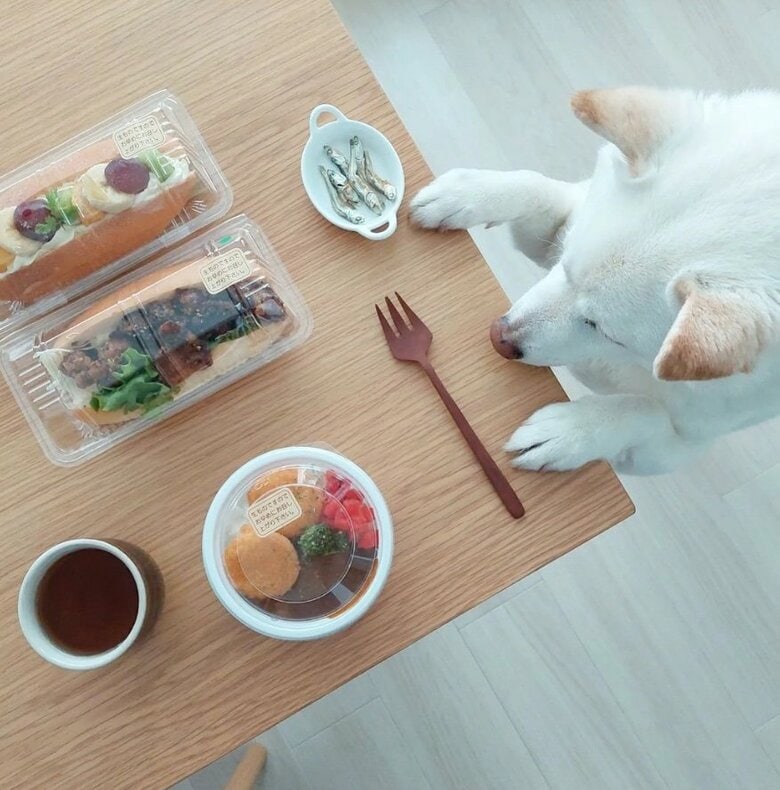 提供： kinako_kinakoさん