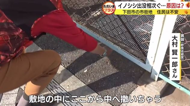 ネコエサがまかれていた場所