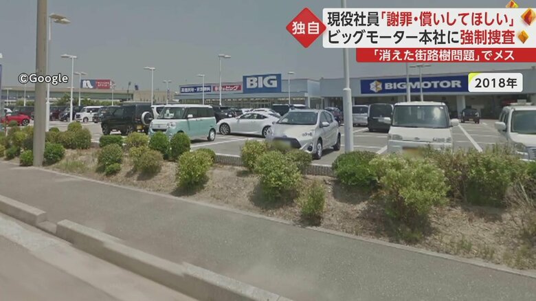 2018年には低い樹木が生えていた