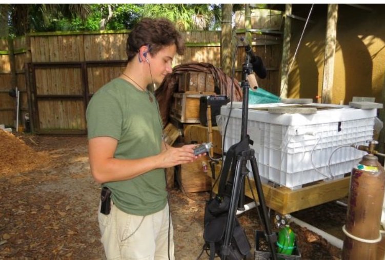 提供： Stephan Reber氏