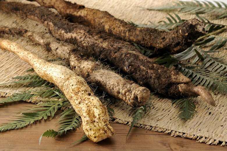 自然薯（提供：明石屋菓子店）