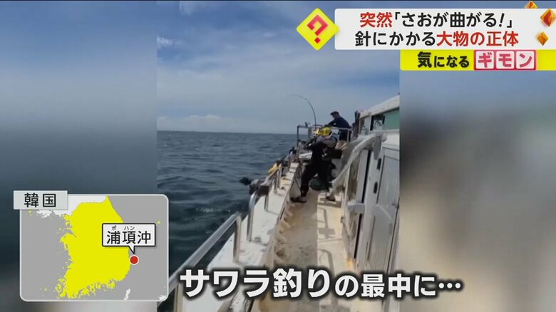 船の上でサワラ釣りを楽しむ人