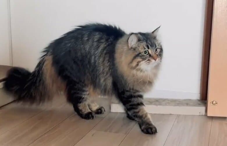 鏡を確認
