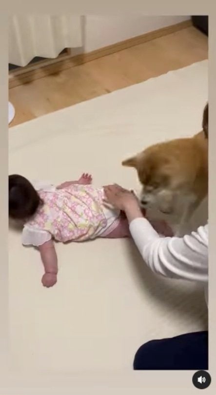 叩かないで！（提供：SORAさん）