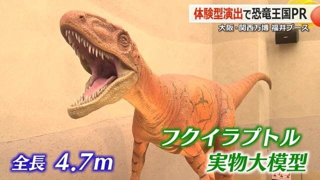 福井で発掘されたフクイラプトルの実物大模型