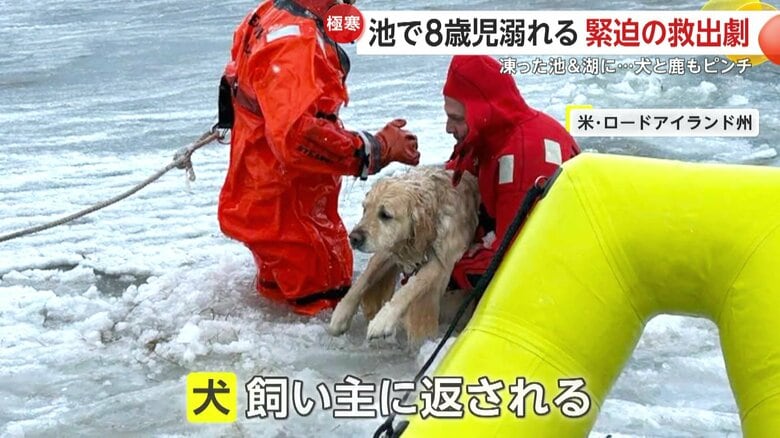 救出された犬は飼い主のもとへ（Misquamicut Fire Department）