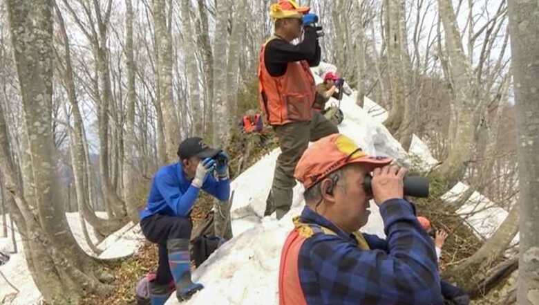 クマの姿は中々見つからない