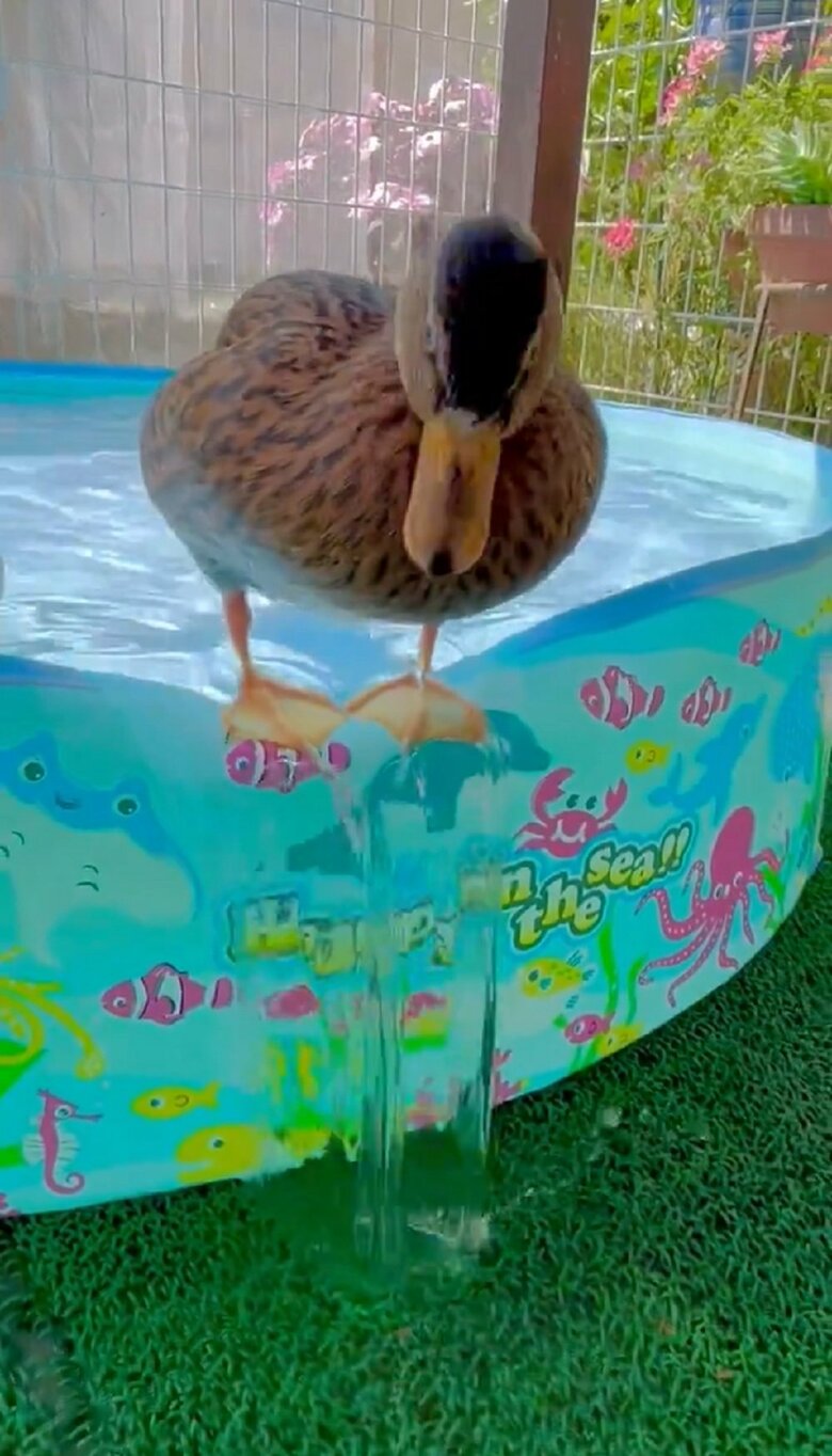 バランス感覚がとても良い