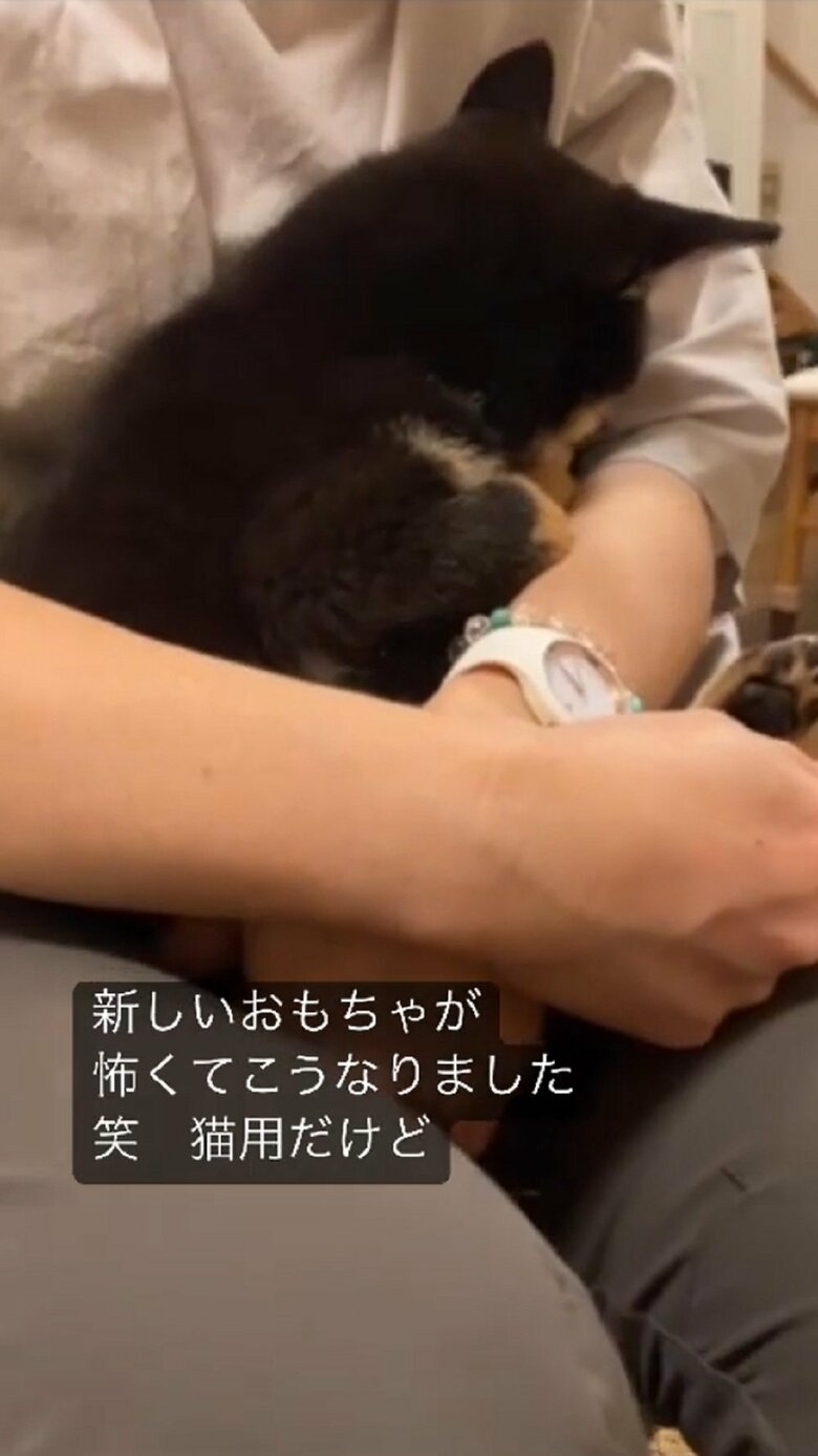 「風太～」と呼ばれると耳がピクリと反応