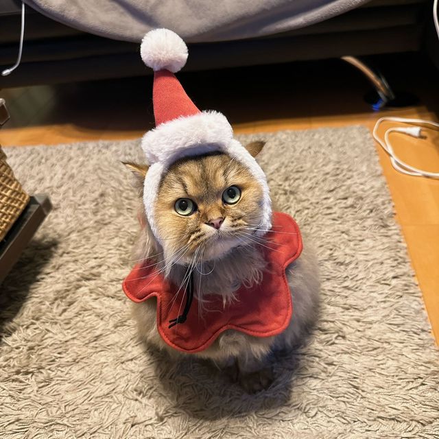 提供：ひなたさん