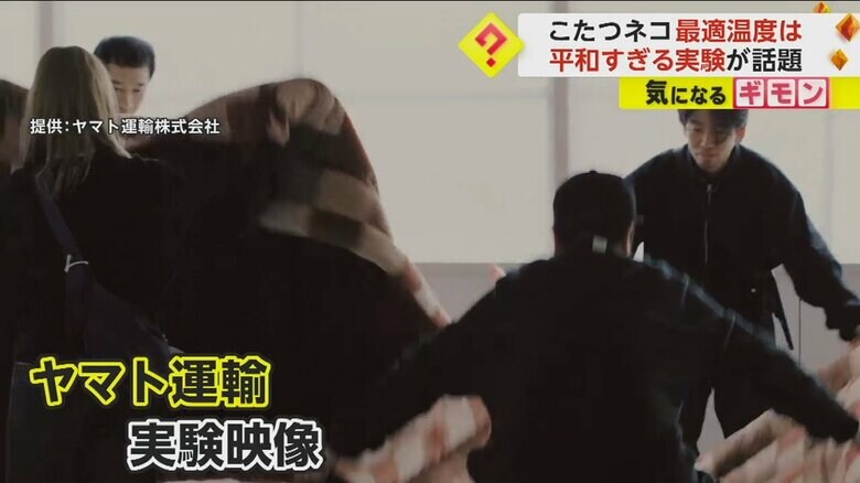 実験のために5つのこたつを用意する様子