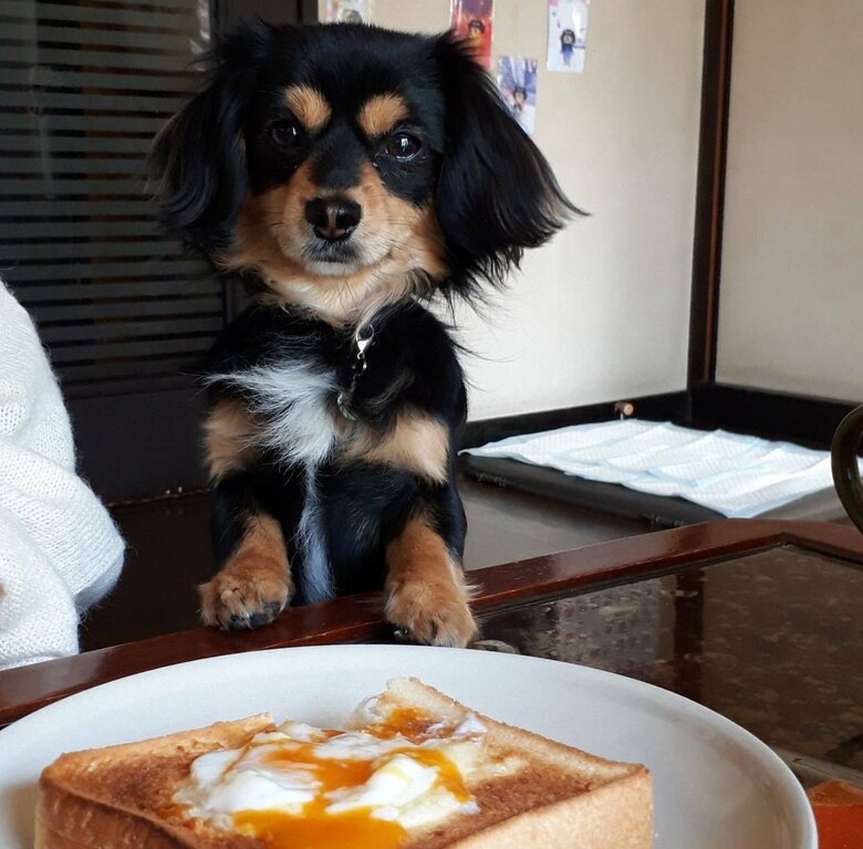 自分のものと信じてやまない様子