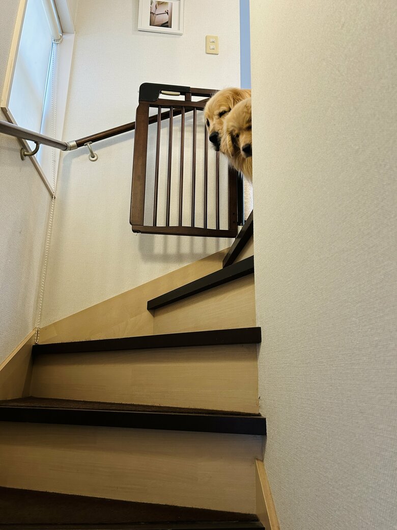 提供：efrinmanさん