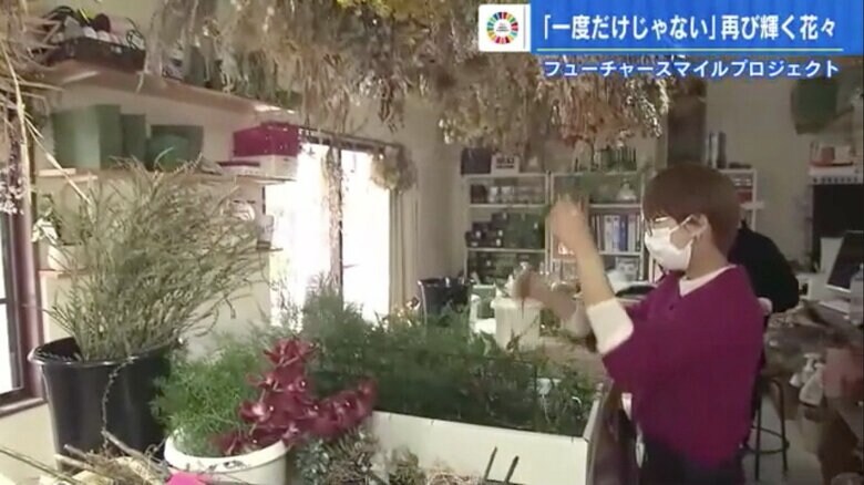 持ち帰った植物をアトリエで仕分ける木原さん