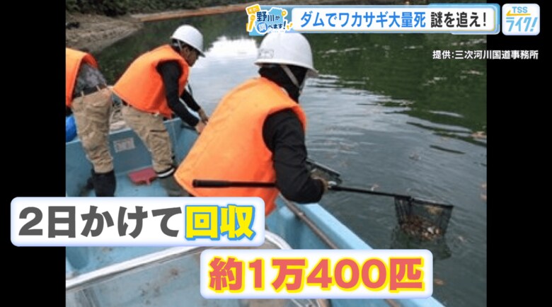 ワカサギの死骸の回収風景