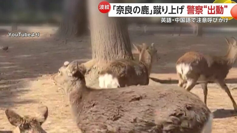 男性に蹴られて立ち去る鹿