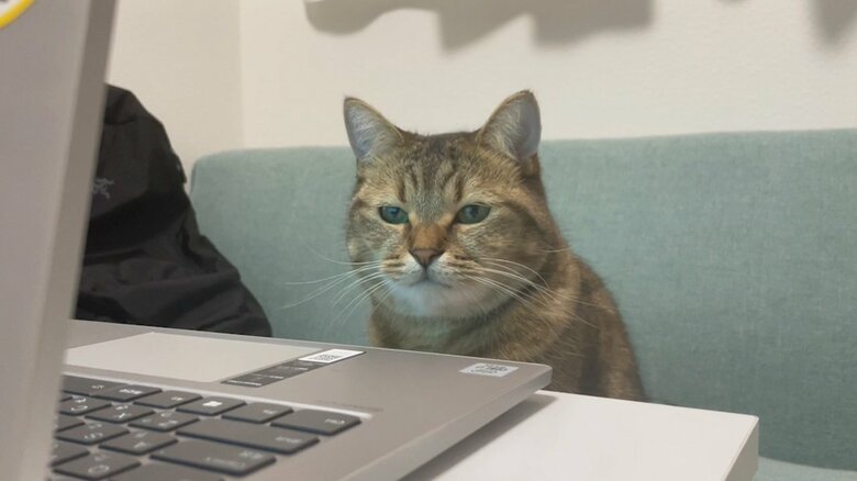飼い主さんに「ツイッター民」と言われてしまう