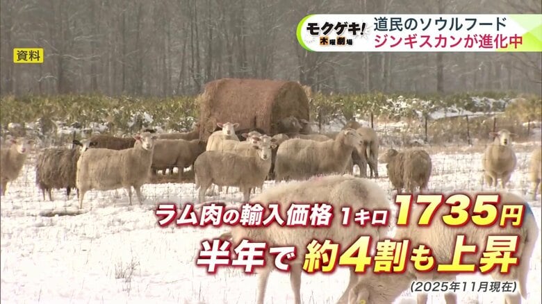 ラム肉の輸入価格は半年で約4割も上昇