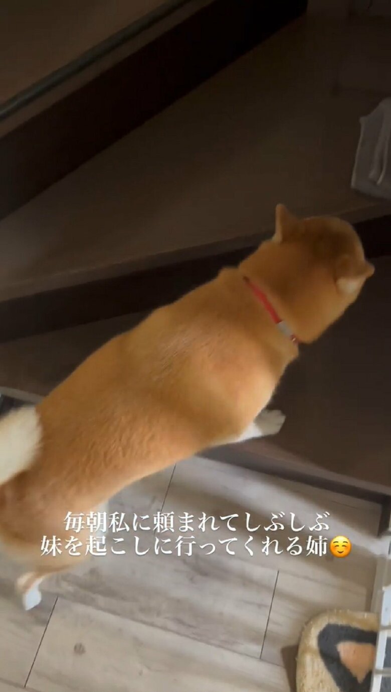 階段に足をかけて…