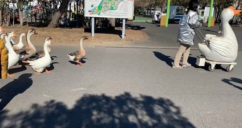 通路確保の役目も担っているという（提供：まめさん）