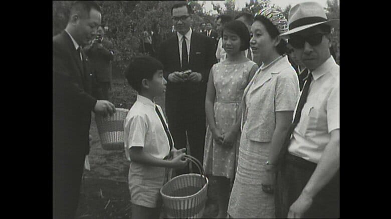 三戸のりんご園へ家族旅行に　1966年