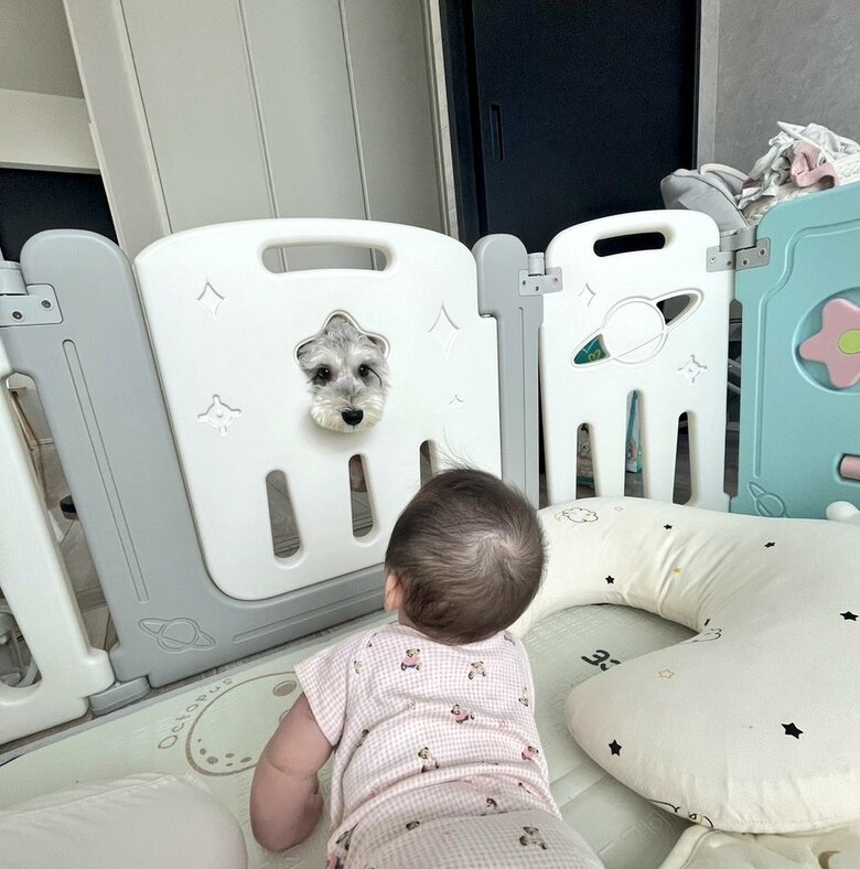 別の日の投稿でも見つめ合っていた（提供：こんぶさん）