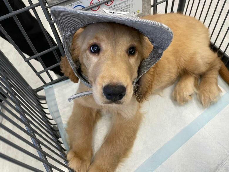 提供：関口和也さん