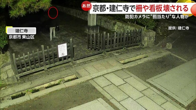 ふらふらと千鳥足で歩いている様子もみられた