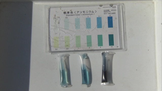 養豚場から２キロ離れた場所でも基準値超のアンモニウムを検出