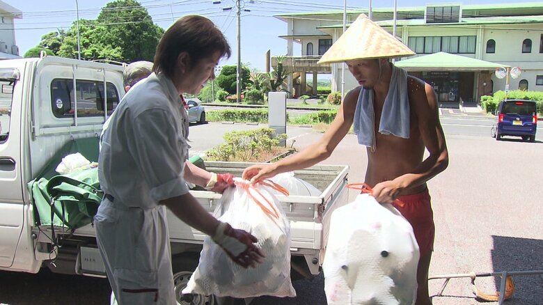 拾ったゴミは各自治体に引き渡す