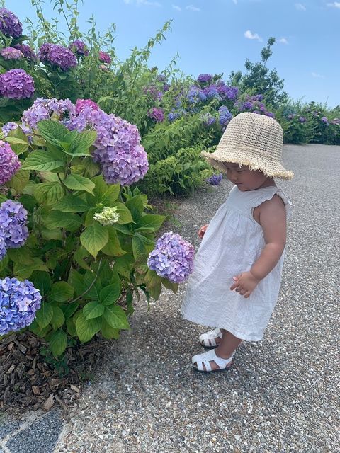 提供：tanityukeさん