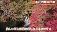 “平成の名水100選”の清流に映える鮮やかな紅葉　四万十市・黒尊渓谷で見頃【高知】