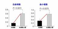 低濃度水素吸入が放射線治療の骨髄障害を抑制：白血球・血小板減少を有意に軽減｜MiZ・5機関共同研究