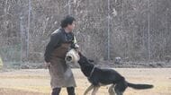 「鼻は小型犬の方がいい気がする」知っているようで知らない『警察犬』のイマ 全国で9割近くが嘱託の民間犬