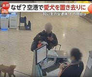 空港で発券拒否され犬を置き去り　飼い主の女を動物遺棄の疑いで逮捕　犬は新たな家族のもとへ　アメリカ