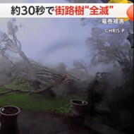 車内で死を覚悟したカップルも…“巨大竜巻”が30秒で街路樹を全…