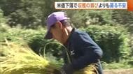 【コメ】「今年は完全に赤字」価格下落で農家苦悩…魚沼産コシの産地から悲痛な声「やめざるを得ない」新潟
