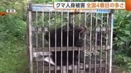 新潟県の“クマ人身被害” 昨年度17人で全国4番目の多さに…カメラ設置やガバメントハンター雇用など対策強化へ