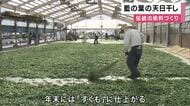 藍色の染料となる「すくも」づくりに向け　藍の葉の天日干し「藍こなし」始まる　徳島・上板町