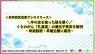 ＼羊の皮を被った狼を暴く／くちのがん「孔道癌」の遺伝子異常を解明-早期診断・早期治療に期待-〔大阪大学, 岡山大学, 東京科学大学〕