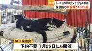 【▶動画はこちら】アニマルフレンズ熊本 保護猫が収容可能な数を超え『非常事態』【熊本】