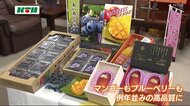 2021年も高品質!佐世保で生産のマンゴーとブルーベリーを佐世保市長に贈呈