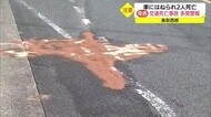 鳥取西部で事故相次ぐ…車にはねられ高齢の男女2人が死亡(鳥取・伯耆町 米子市)