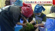 保育園で楽しくSDGs “段ボール”で生ゴミを肥料にし野菜を収穫 葉は再利用へ【新潟市】