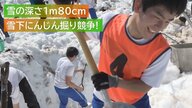 豪雪地帯で『雪下にんじん』掘り競争！雪の深さは1m80cm「こんなに大変だとは…」【新潟発】