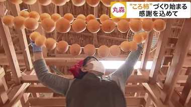 台風19号被害乗り越え…特産「ころ柿」づくり始まる 『今年も食べたい』の声に応え【宮城発】